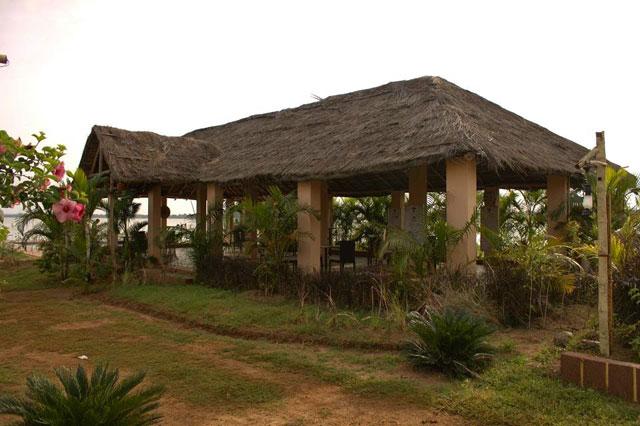 The Peepal Tree photo 8