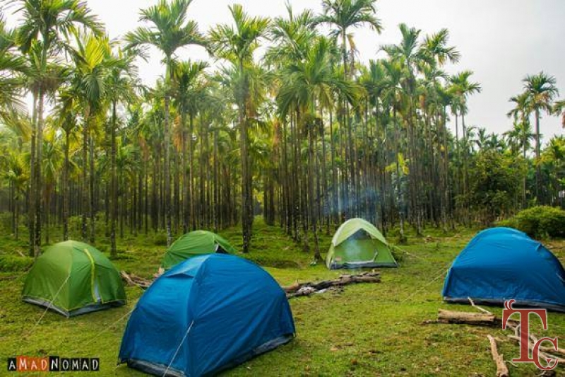 Hingaara Homestay photo 37