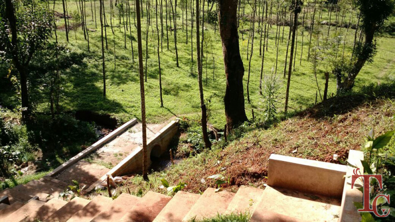 Moon Mist Homestay photo 36