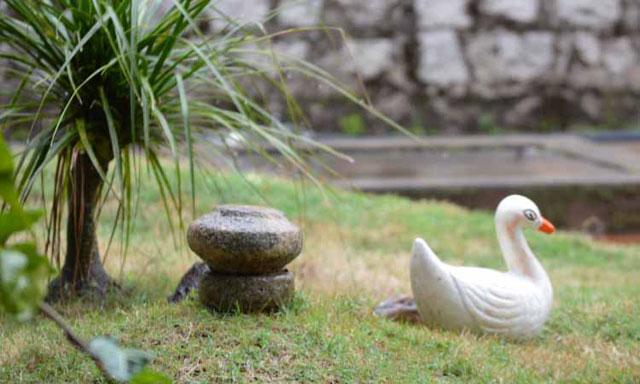 Moon Mist Homestay photo 43