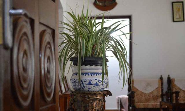 Moon Mist Homestay photo 46