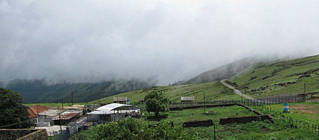 Moon Mist Homestay photo 52