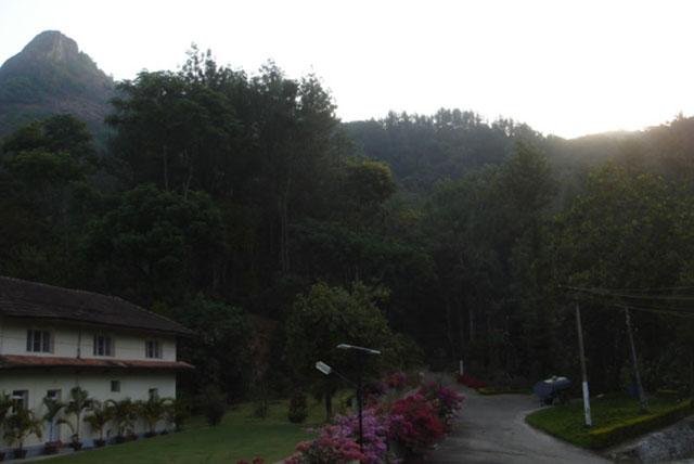 Bettadamalali Homestay photo 20
