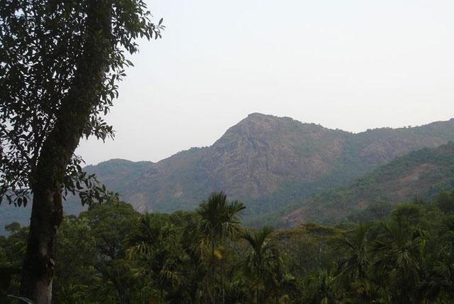 Bettadamalali Homestay photo 35