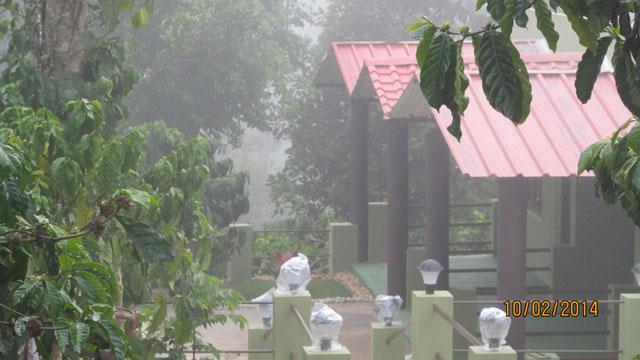 Green Park Homestay photo 2