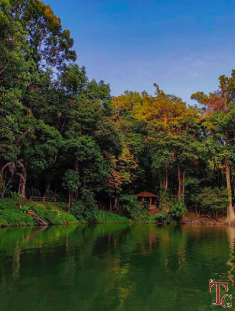 Hingaara Homestay photo 51