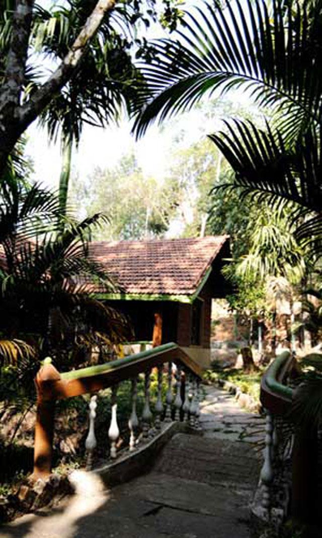 Greenline Homestay photo 5
