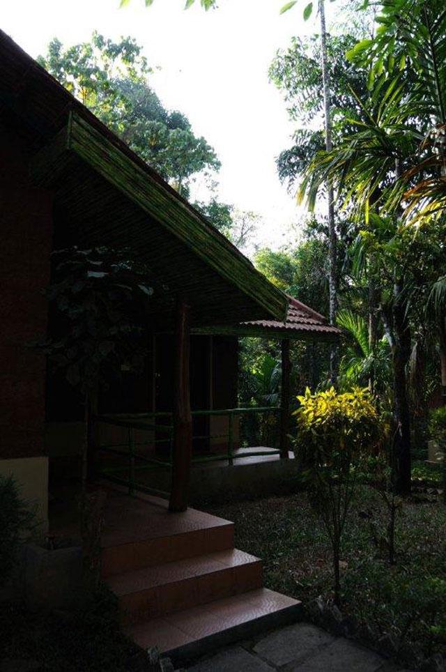 Greenline Homestay photo 7