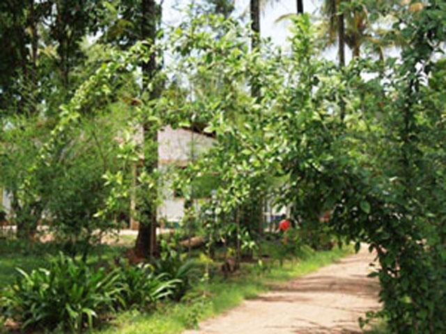 Raj Gardenia photo 7