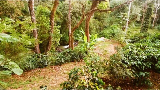 Green Nest Homestay photo 17