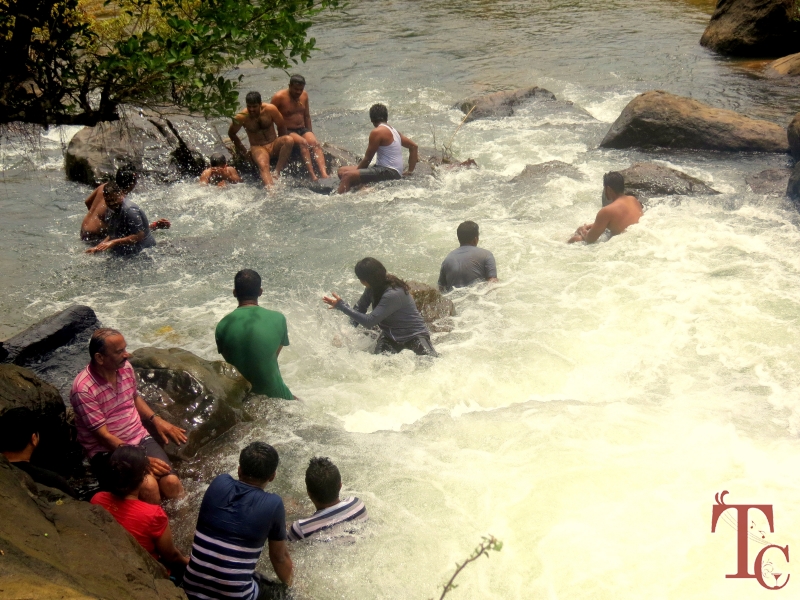Hingaara Homestay photo 56