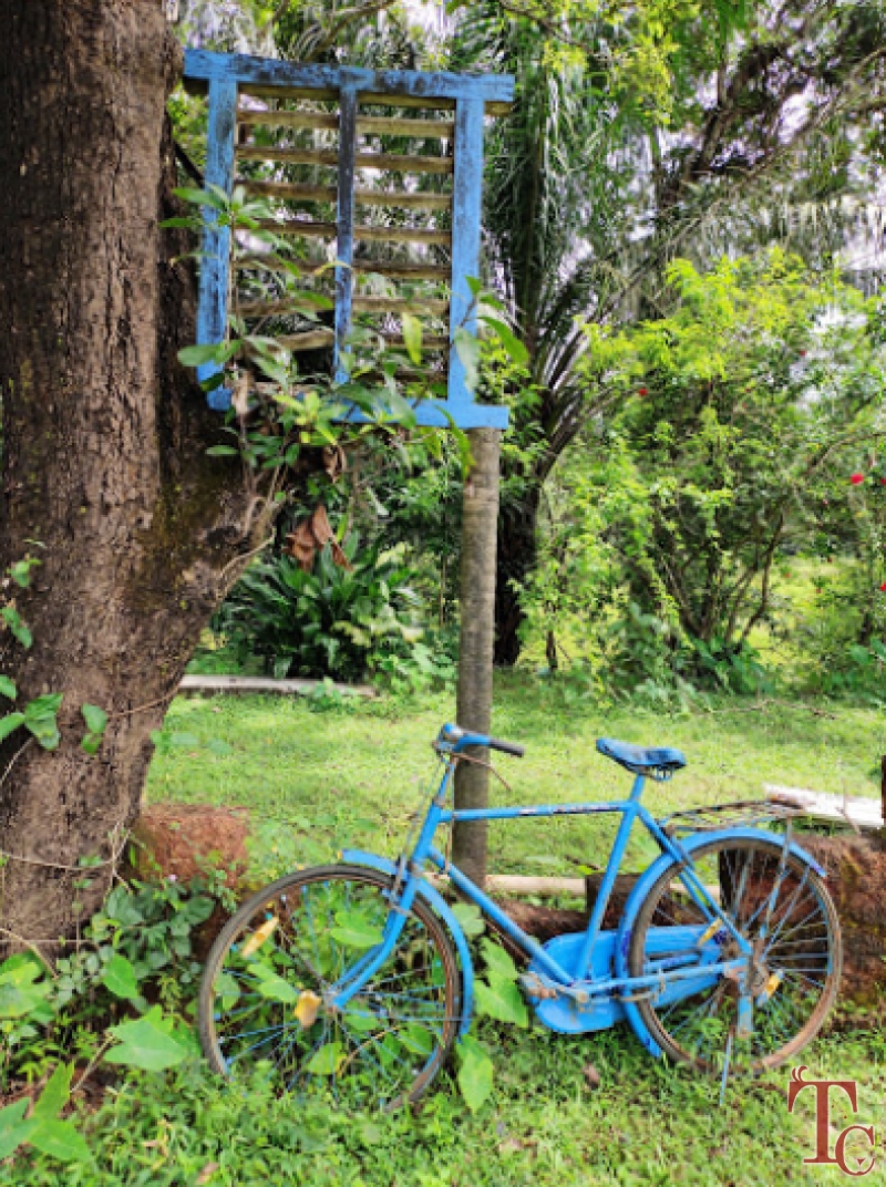 Hingaara Homestay photo 58