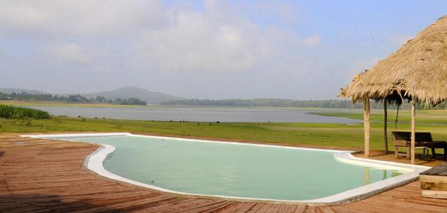 The Bison Resort photo 22