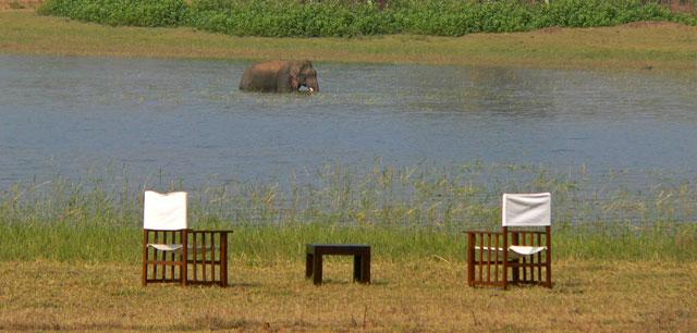 The Bison Resort photo 24