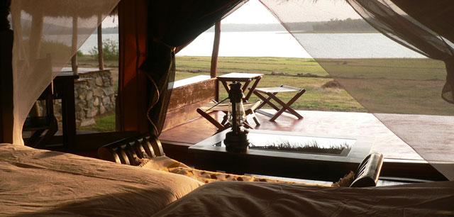 The Bison Resort photo 32