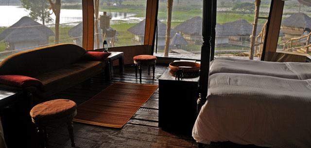 The Bison Resort photo 34