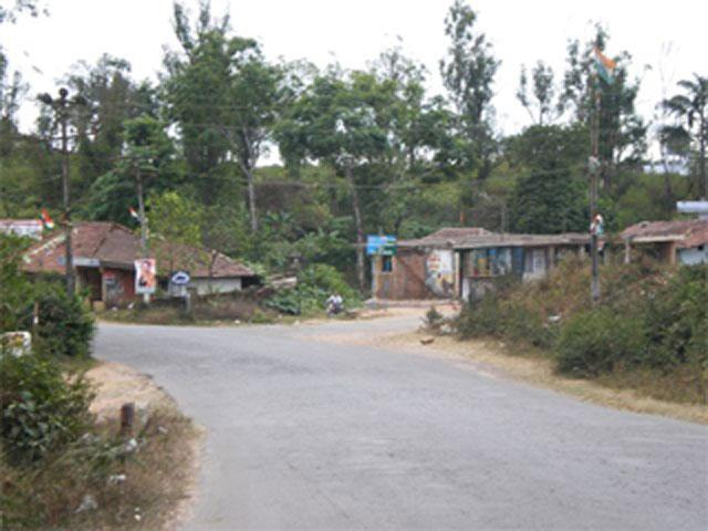 The Nest Coorg photo 3