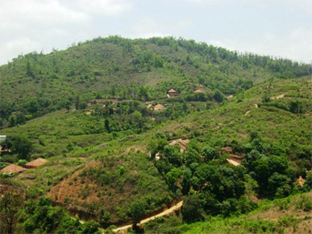 The Nest Coorg photo 9