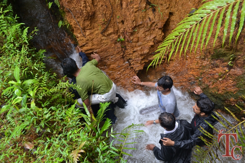 Hingaara Homestay photo 66