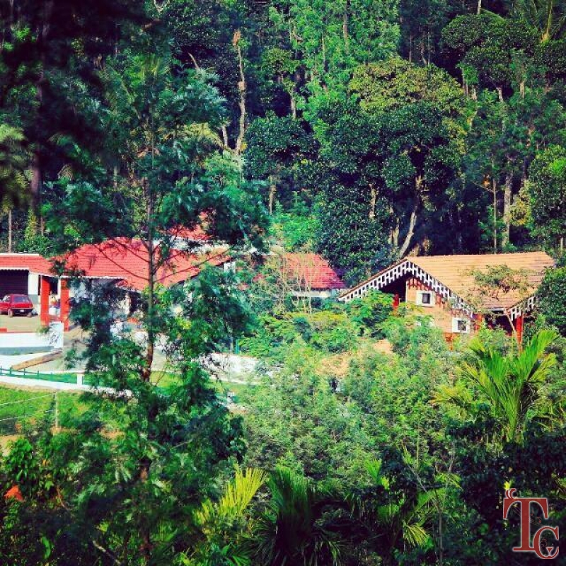 Coffee Terrain Estate Homestay photo 16