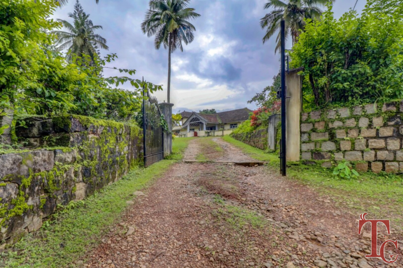 Gabadi River Edge Homestay photo 7