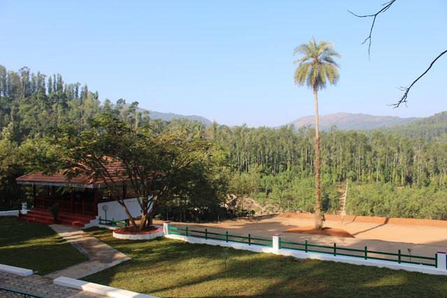 Coffee Terrain Estate Homestay photo 45