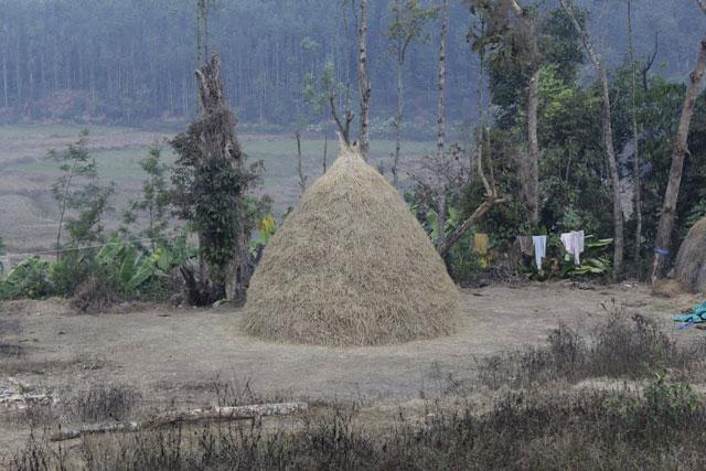 Coffee Terrain Estate Homestay photo 46