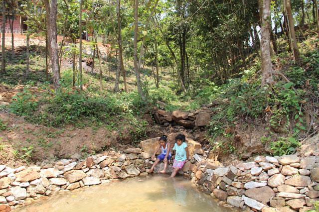 Saalu Gudda Homestay photo 2