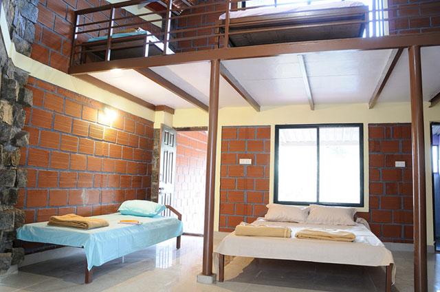 Saalu Gudda Homestay photo 4
