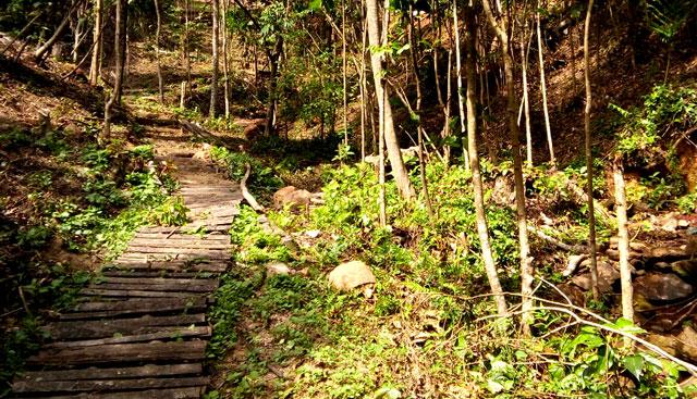 Saalu Gudda Homestay photo 6