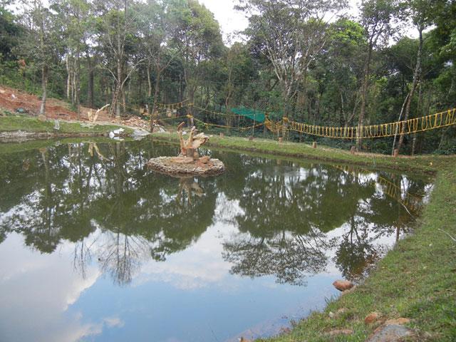 Saalu Gudda Homestay photo 7