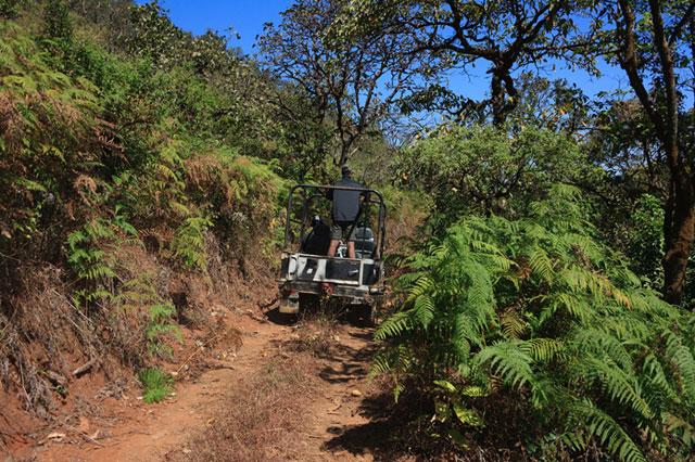 Saalu Gudda Homestay photo 12