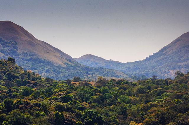 Saalu Gudda Homestay photo 14