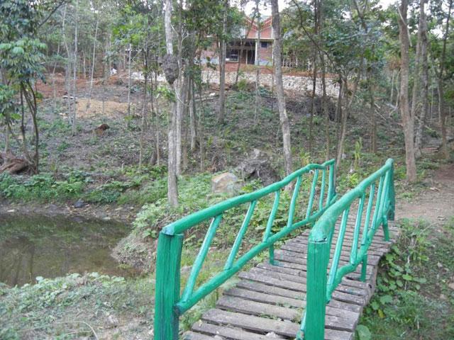Saalu Gudda Homestay photo 18
