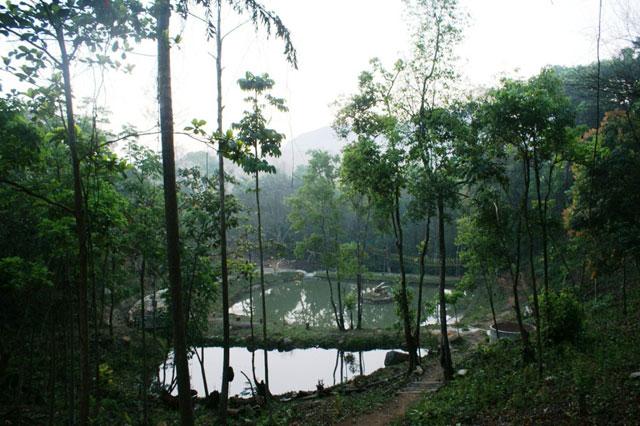 Saalu Gudda Homestay photo 20