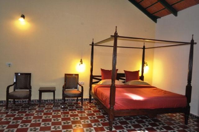 Rare Earth Homestay photo 6