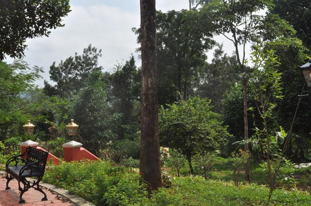 Rare Earth Homestay photo 7