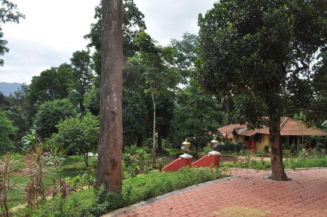 Rare Earth Homestay photo 9