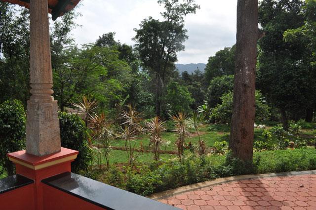 Rare Earth Homestay photo 10
