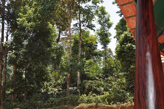 Rare Earth Homestay photo 22
