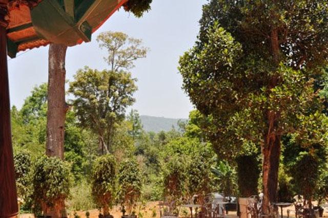 Rare Earth Homestay photo 24