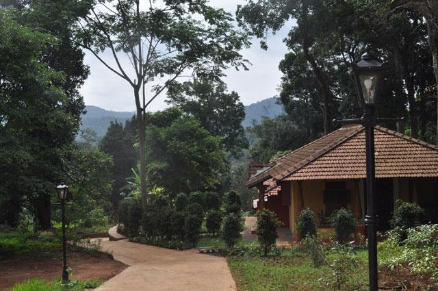 Rare Earth Homestay photo 27