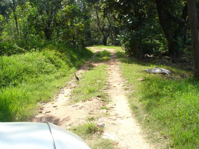 Peacock County photo 15