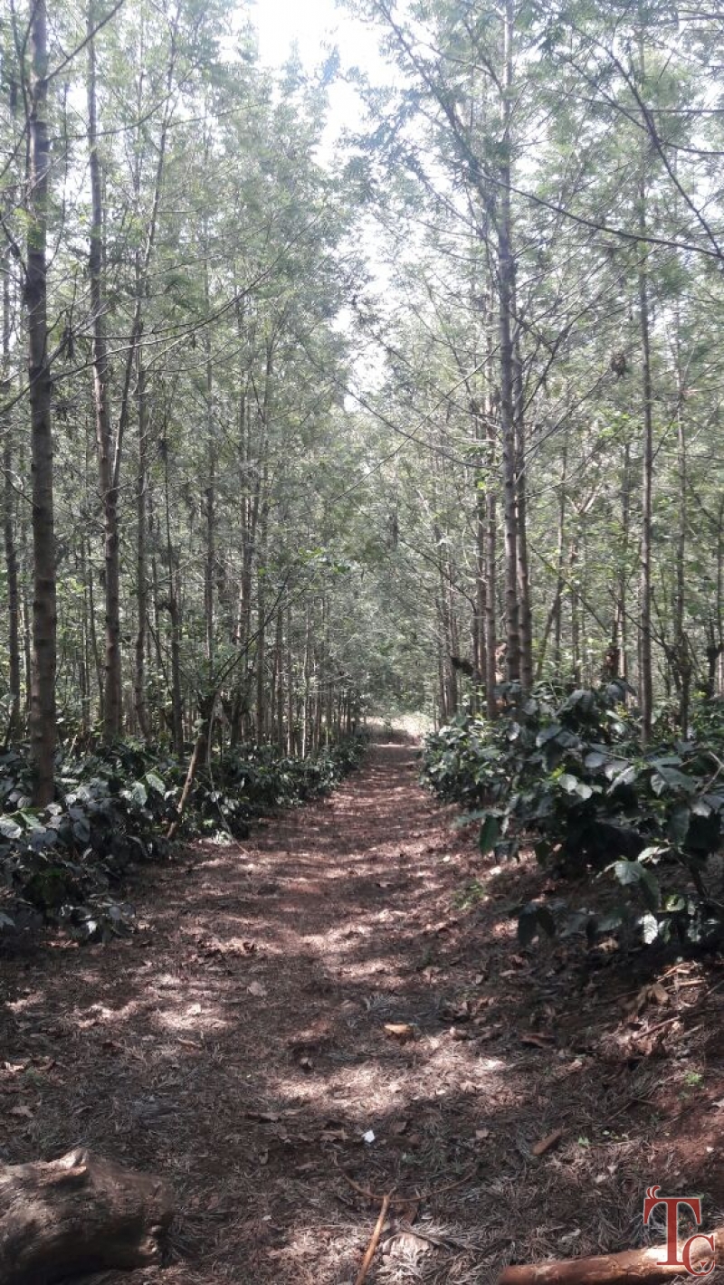 Girigandarva Estate Homestay photo 45