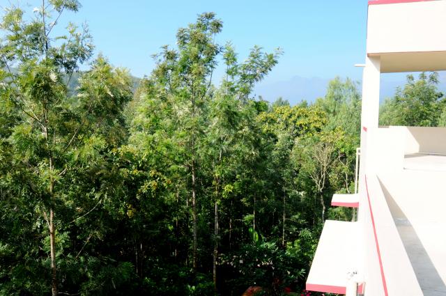 Girigandarva Estate Homestay photo 55