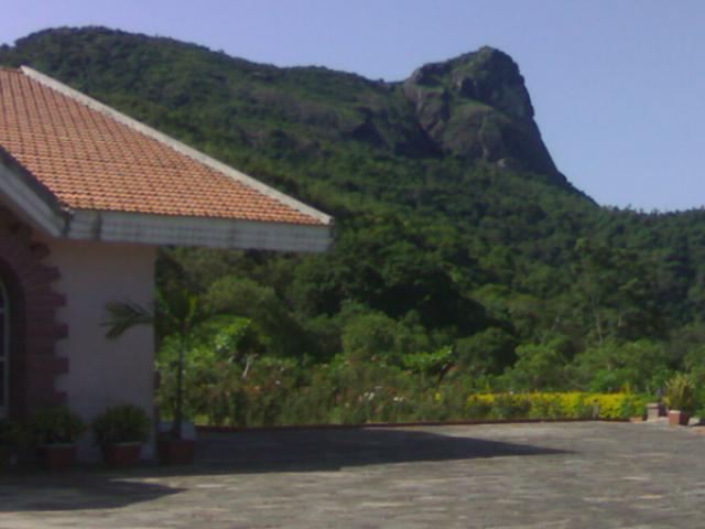Doopad Cool Homestay photo 12