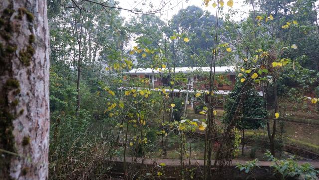Falling Waters Resort photo 4