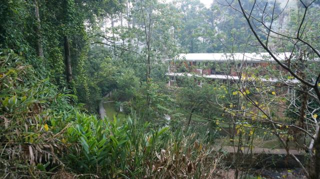 Falling Waters Resort photo 21