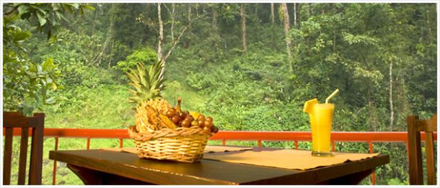 Falling Waters Resort photo 28