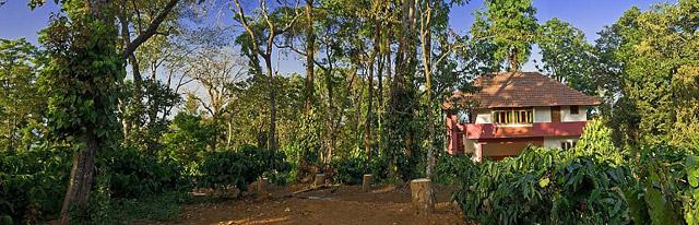 Chingaara Estate Homestay photo 7